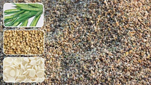 Renaid Global - Guar Gum Powder 5 Renaid Global - guar meal supplier