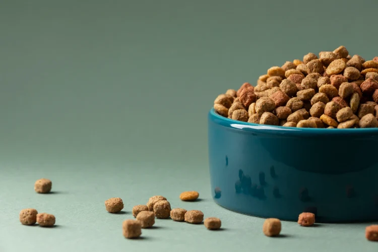 Guar Feed Supplier for Pet food in USA Guar Feed Supplier for Pet food in USA