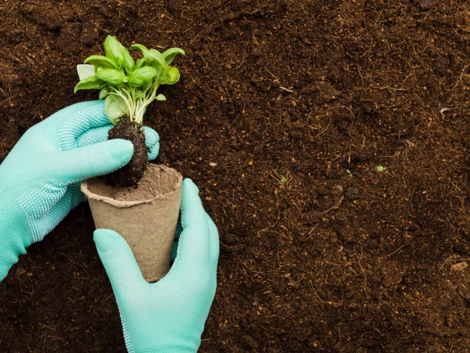 Guar Feed Supplier for fertilisers in USA Guar Feed Supplier for fertilisers in USA